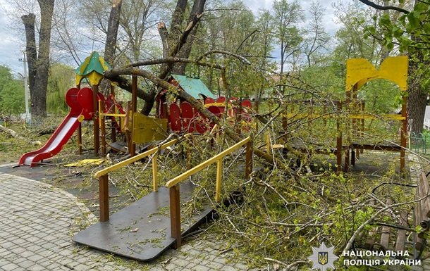 На Буковині через падіння дерев на дитячий майданчик постраждали дві дитини