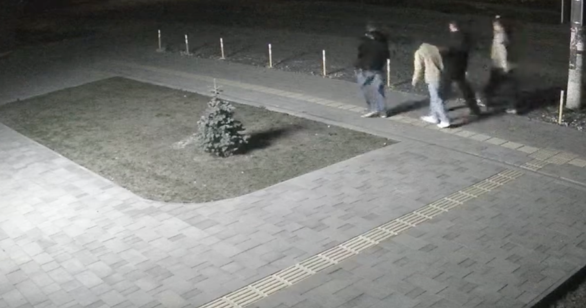 Поліція розслідує крадіжку світловідбивного стовпчика біля ЦНАПу в Красному та шукає причетних підлітків