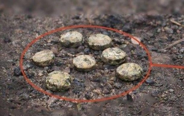 У Херсоні виявили дистанційне мінування школи російськими силами