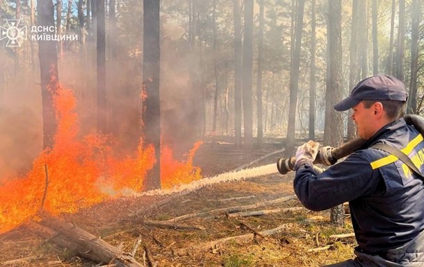 ДСНС повідомила про наслідки масштабних пожеж в Україні