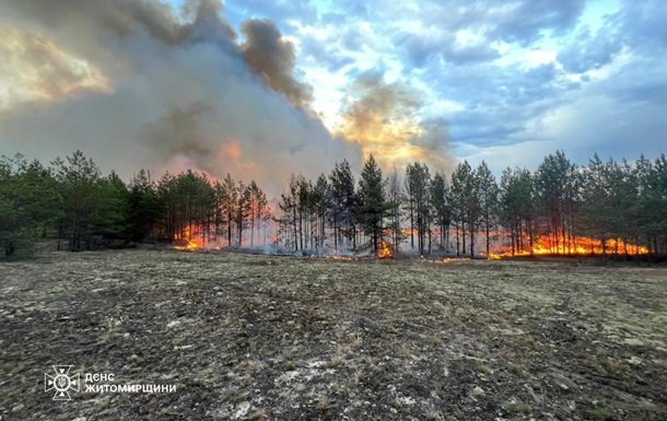 Лісові пожежі охопили чотири області України, повідомляє ДСНС
