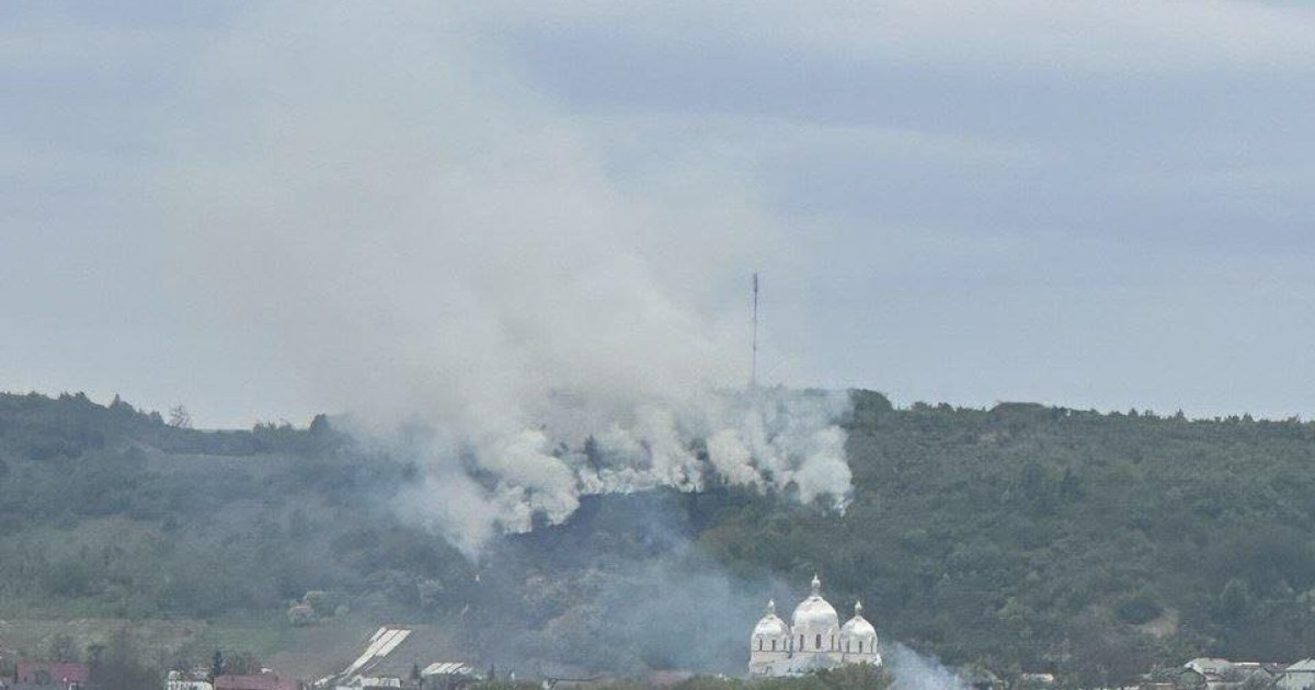 Масштабна пожежа охопила ліс на пагорбі у Великих Грибовичах