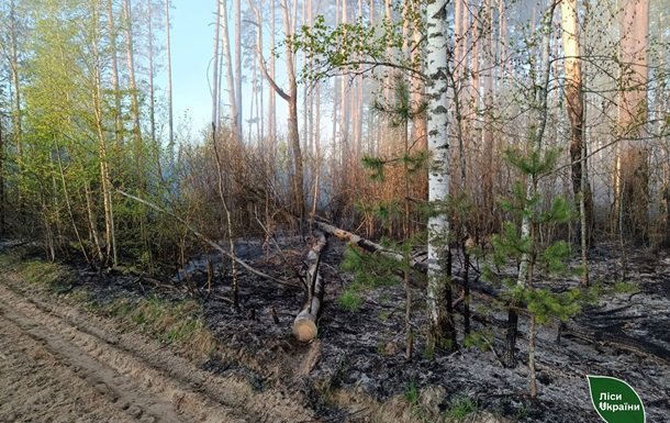 На Чернігівщині локалізовано пожежу на площі 5800 гектарів