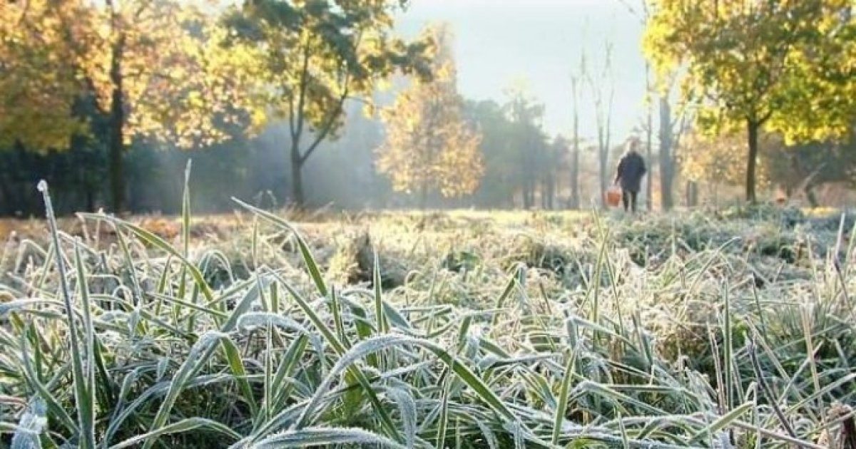 На Львівщині 10 травня очікується похолодання до -2°C: оголошено метеопопередження