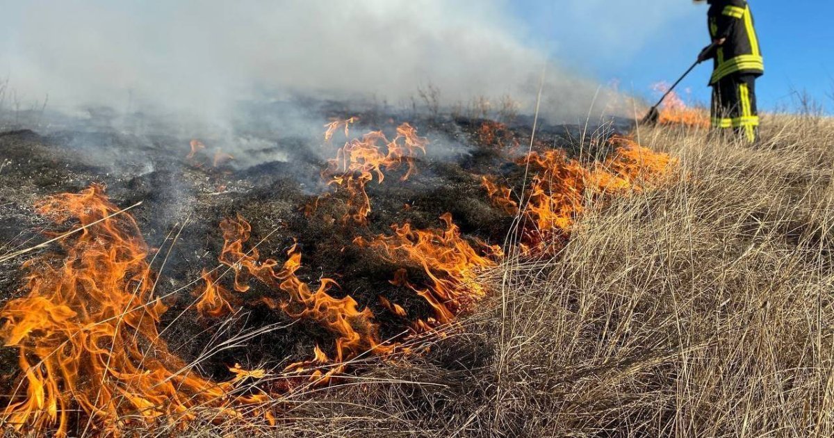 На Львівщині 22 травня очікується підвищений рівень пожежної небезпеки, попереджають синоптики
