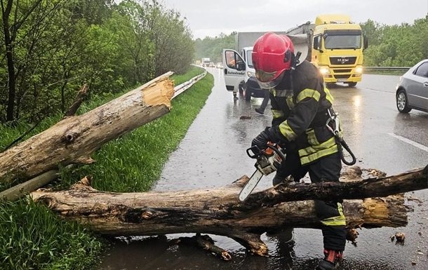 Негода в Україні: повалені дерева блокують автомобільні траси