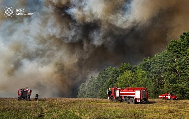 Площа лісових пожеж на Чернігівщині досягла 5800 гектарів