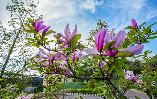 Погода на початку тижня: температура підніметься до 25°C
