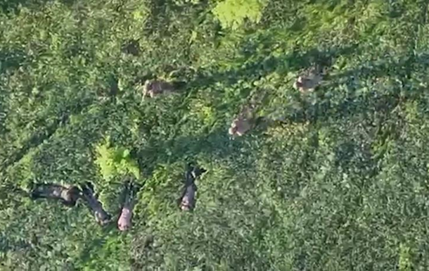 Прикордонники затримали чотирьох військових РФ за допомогою безпілотників