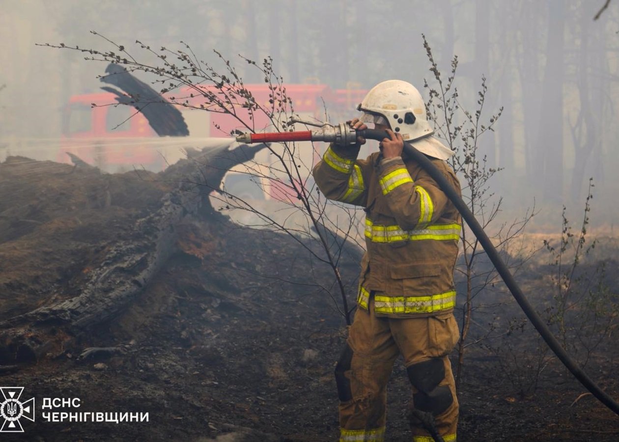 У Чернігівській області ліквідовано лісову пожежу