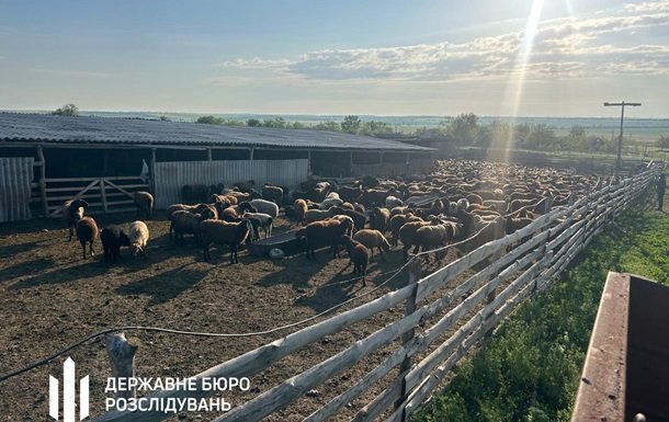 У Держпродспоживслужбі виявлено схему розкрадання бюджетних коштів
