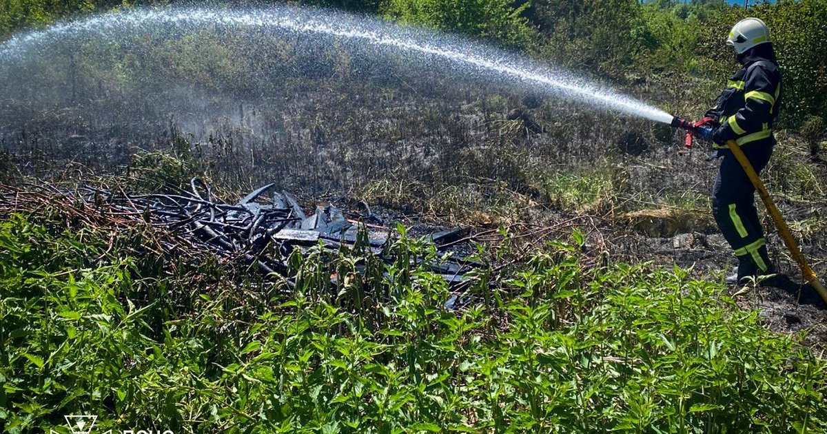 У Дрогобичі 56-річний чоловік отримав травми внаслідок пожежі сухої трави