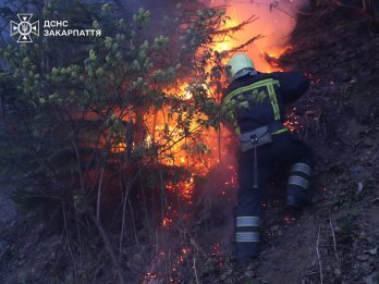 У Карпатах на гасіння масштабної пожежі залучено 36 рятувальників з Львівщини