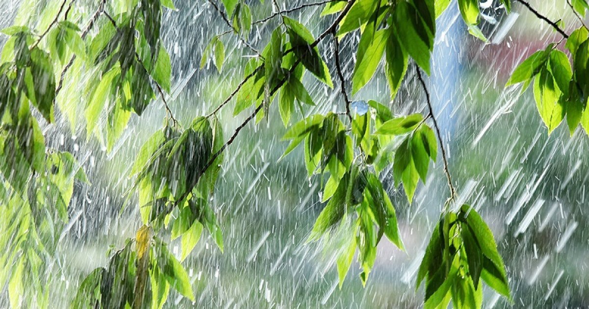 У Львівській області 17 травня очікуються грози та короткочасні дощі, повідомляють синоптики
