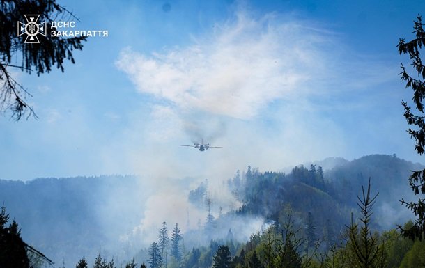 У Закарпатті розслідують можливий підпал лісу на замовлення Росії