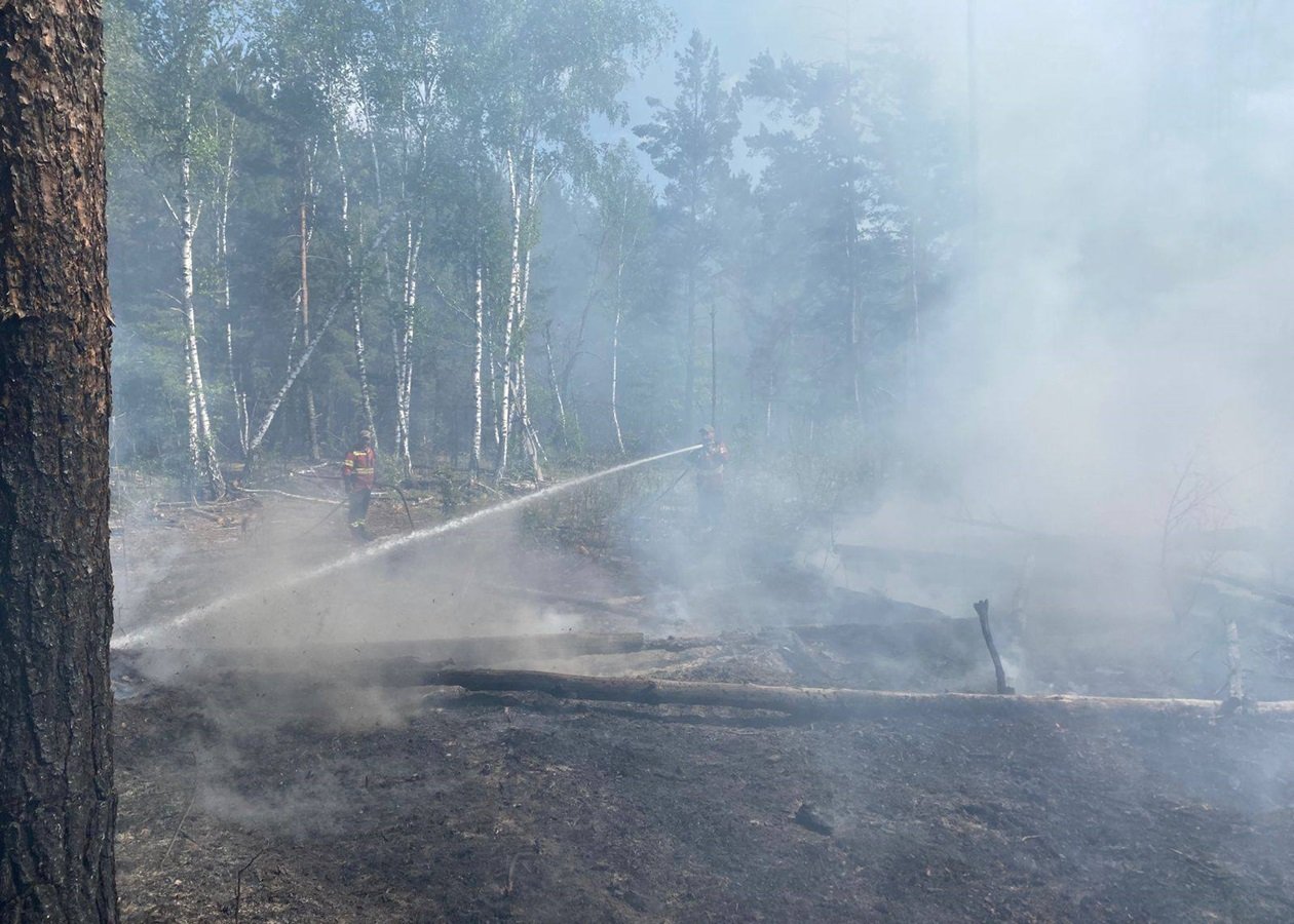 У зоні відчуження знову спалахнули пожежі через атаки російських дронів