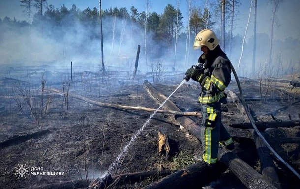 В Чернігівській області рекордні пожежі охопили тисячі гектарів лісу