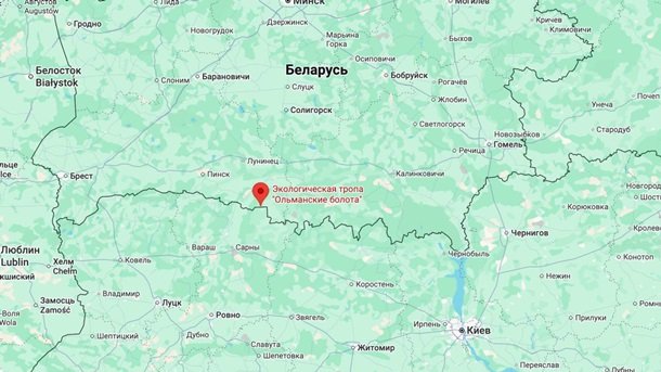 Білорусь запускає нові маршрути для грибників: чого очікувати українським туристам?