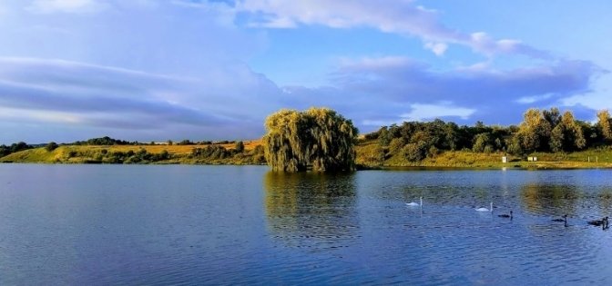 Кращі пляжі та водойми Львівщини для літнього відпочинку: де влаштувати купання
