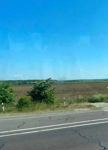 На Львівщині переорали відоме поле з маками, щоб висадити квасолю