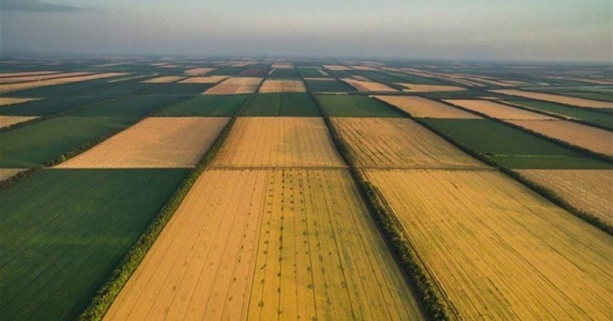 На Львівщині суд анулював договір оренди 60 гектарів землі між підприємством та громадою