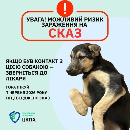 На Львівщині туристи привезли собаку з гори Пікуй, виявивши у неї сказ