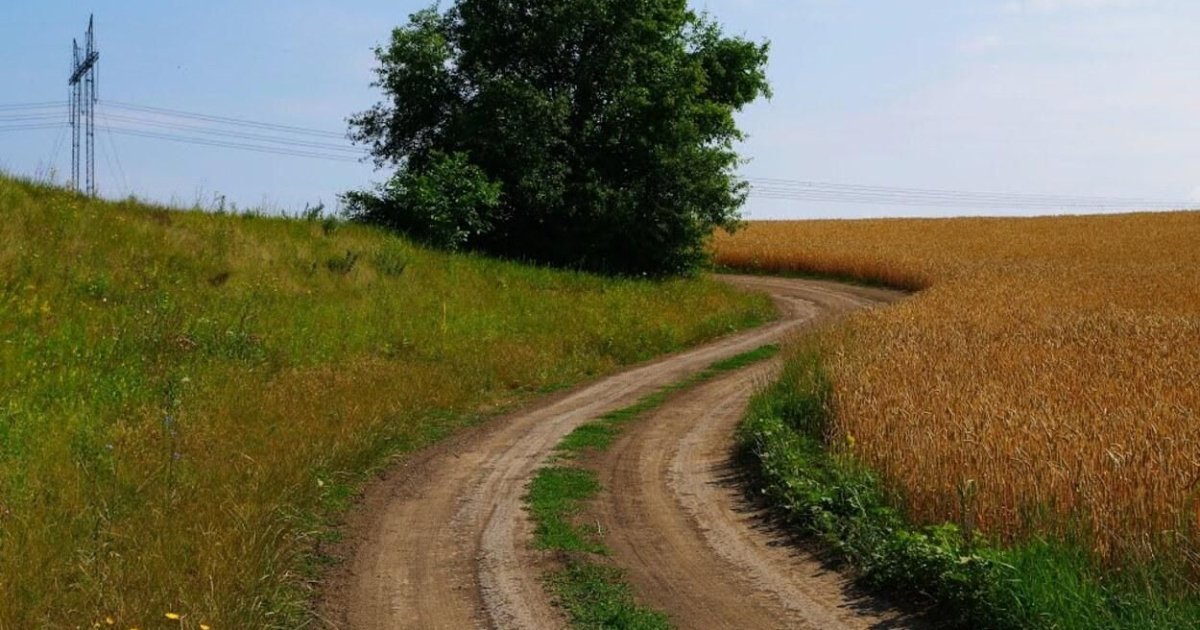 На Львівщині водій втік після наїзду на чоловіка на польовій дорозі, жертва загинула