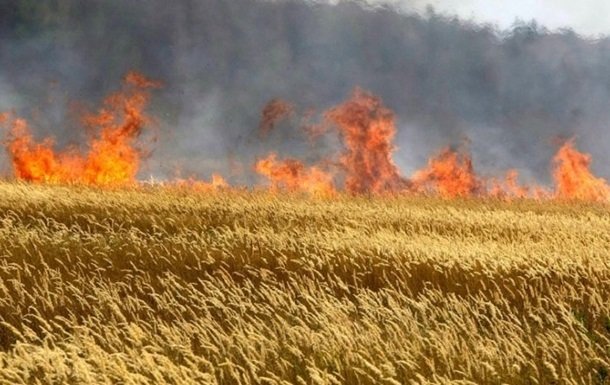 На Миколаївщині внаслідок російських обстрілів постраждало поле з пшеницею