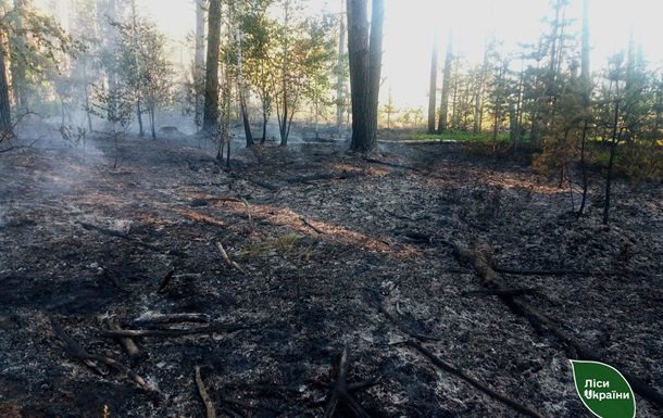 На Житомирщині викликані російськими дронами п’ять лісових пожеж