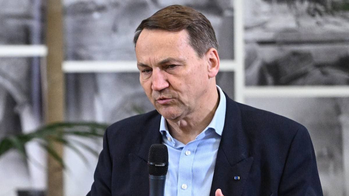 Сікорський підтвердив непублічні переговори з Україною щодо формування підрозділу на честь "героїв УПА"