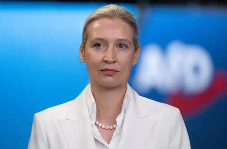 Лідерка "АдН" зіткнулася з критикою партійного маніфесту про "традиційну сім'ю" на тлі власного досвіду життя з жінкою