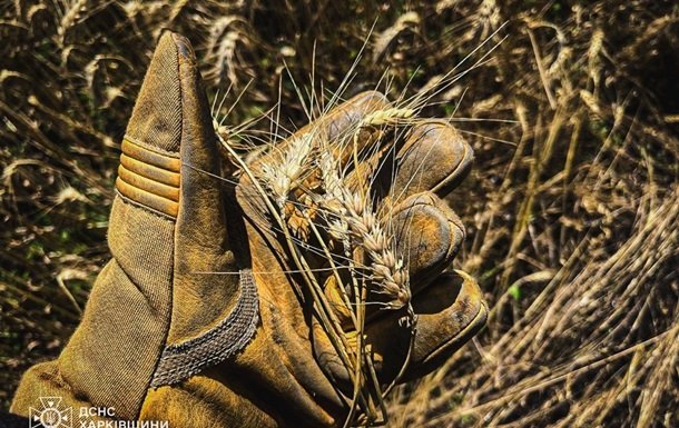 На Харківщині зафіксовано обстріл пшеничних полів з боку російських сил