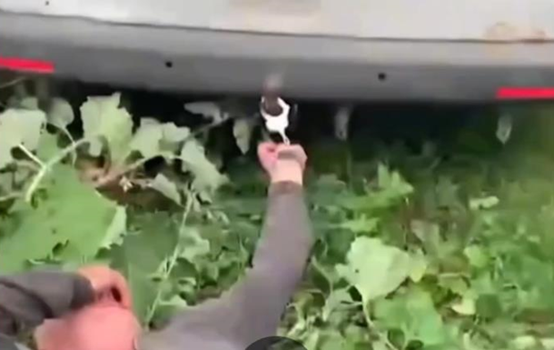 На Хмельниччині розслідують інцидент з призовником, якого прикували наручниками до автомобіля