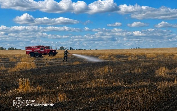 На Житомирщині внаслідок російської атаки знищено пшеничне поле