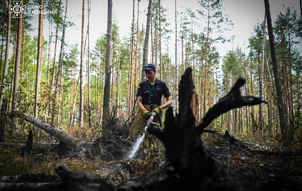 У Чорнобильській зоні ліквідували масштабну пожежу