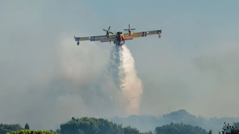 У Франції продовжується боротьба з масштабними лісовими пожежами, які знищили сотні гектарів лісу