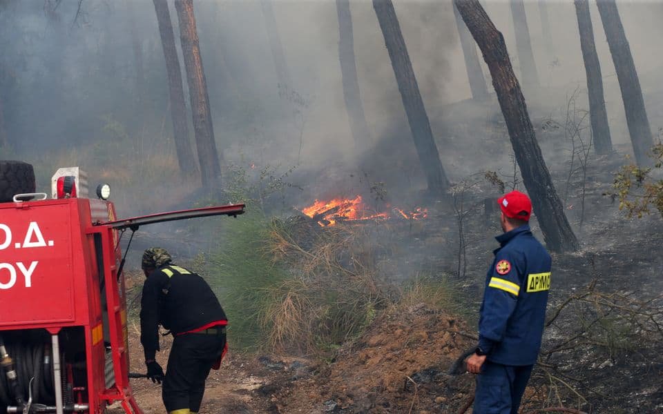 У Греції внаслідок лісової пожежі загинули дві особи