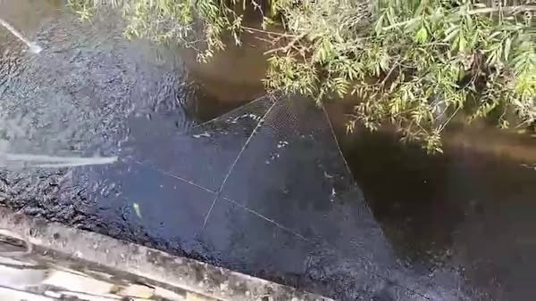 За тиждень у Львівській області оштрафували 23 рибалок за порушення правил рибальства