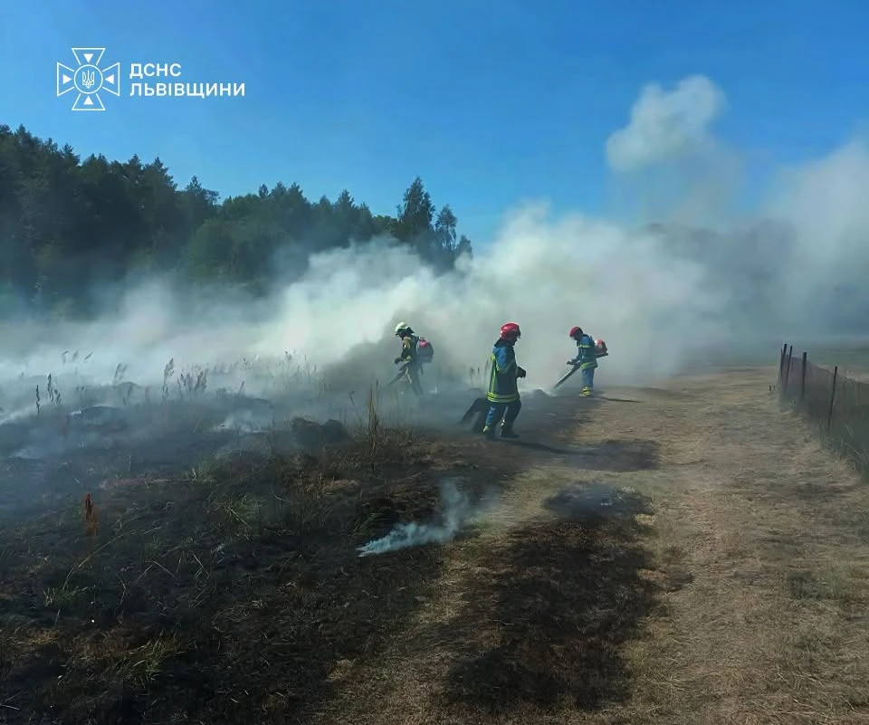 ДСНС закликає жителів Львівщини утриматися від спалювання сухої рослинності