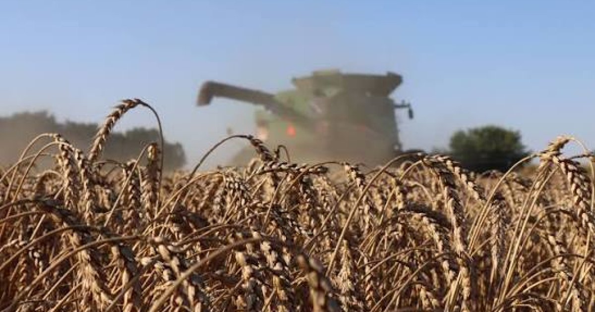 Два агропідприємства Львівщини під підозрою у змові на аукціонах з оренди землі