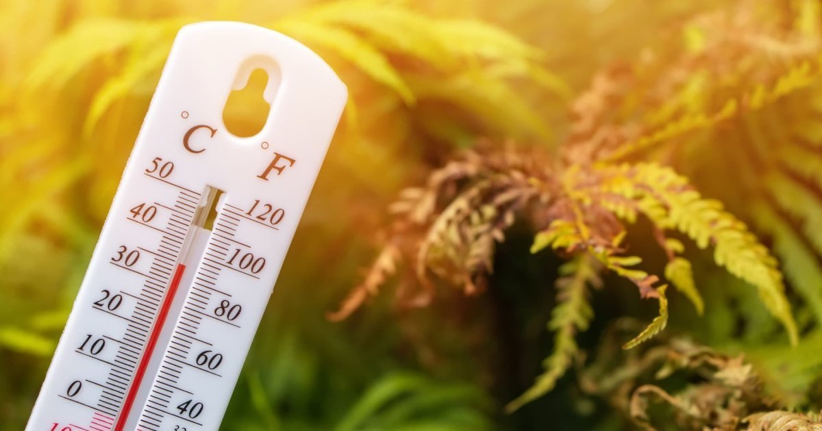 Львівщина під загрозою: спека до +34°C та надзвичайна пожежна небезпека, попереджають синоптики