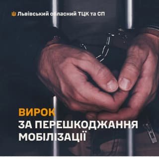 Мешканця Львівщини засуджено до ув'язнення за перешкоджання ЗСУ та виправдання агресії Росії
