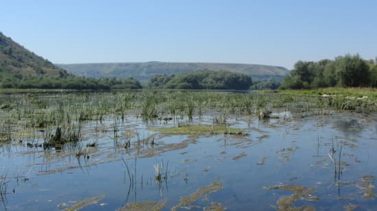 Молдова впроваджує заходи з економії електроенергії та води на фоні обміління Дністра