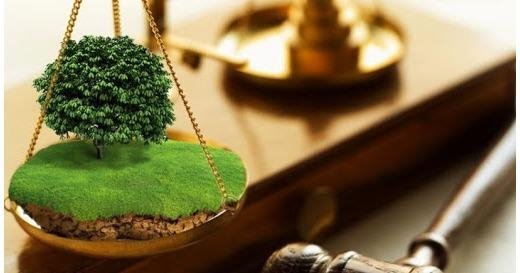 На Львівщині громади виставили на оренду понад 25 гектарів сільгоспземель під час земельних торгів