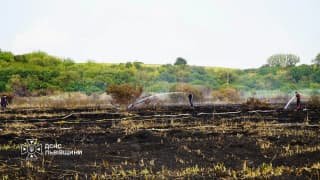 На Львівщині ліквідовано 39 пожеж сухостою, знищено понад 3,4 гектара території