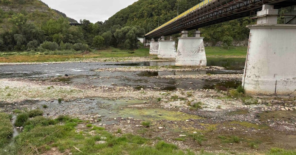 На Львівщині в річках спостерігається значне зменшення водності та практично відсутня течія