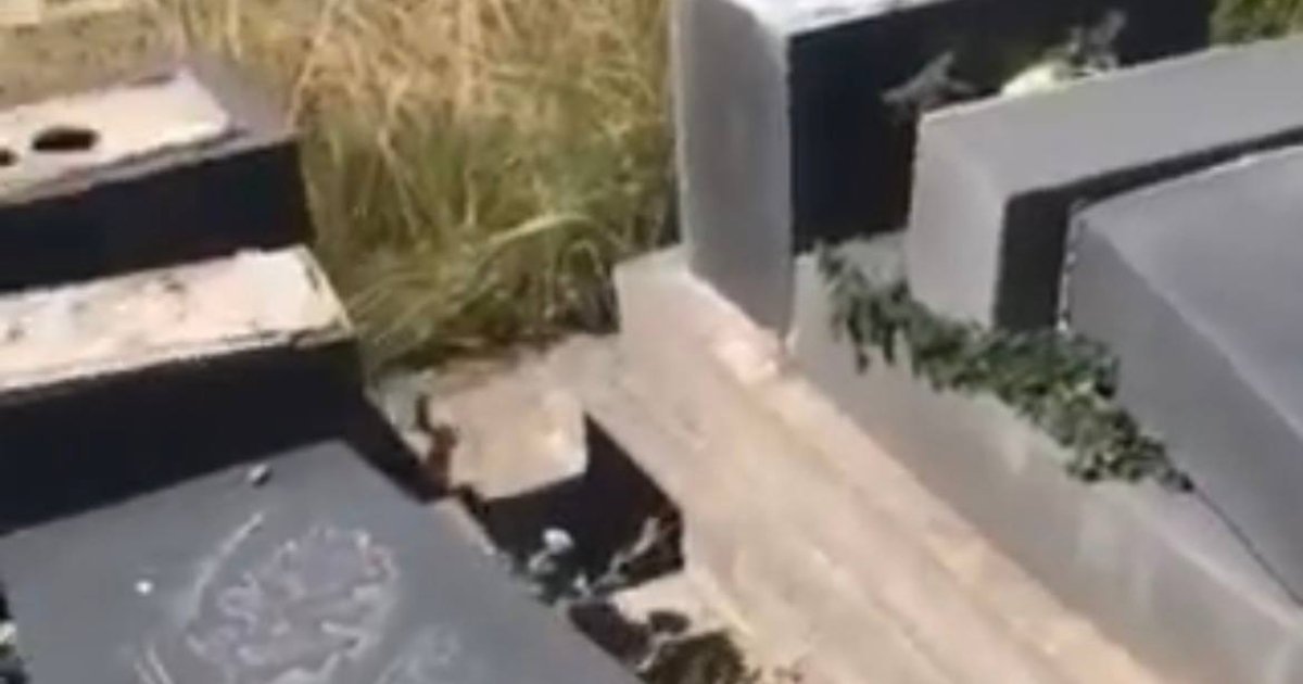 На старому кладовищі біля Шептицького виявлено випадки вандалізму: пошкоджені надгробки