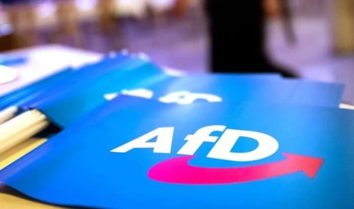 Опитування в Німеччині вказують на перевагу партії "АдН" напередодні місцевих виборів у Саксонії-Ангальт