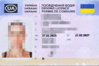 Польські прикордонники затримали українку з фальшивими документами водія, придбаними в інтернеті