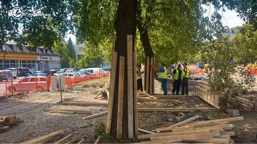 Реконструкція вулиці Мазепи у Львові: підрядники встановлюють захист для зелених насаджень